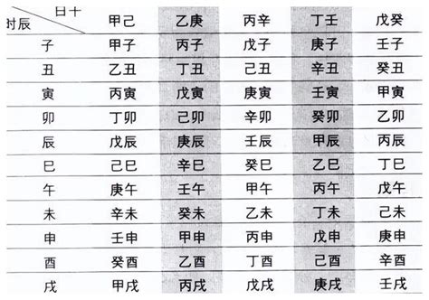 乙亥年五行|八字干支解讀——乙亥：迷之豬豬，身不由己！